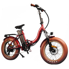 20 Inch Folding Electric Bicycle Fat Tyre 36V 350W Motor Bike Suspension Fork